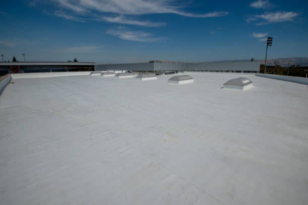 Best Chimney Flashing Repair  in Stony Point, MI