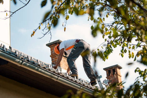 Roof Restoration in Stony Point, MI