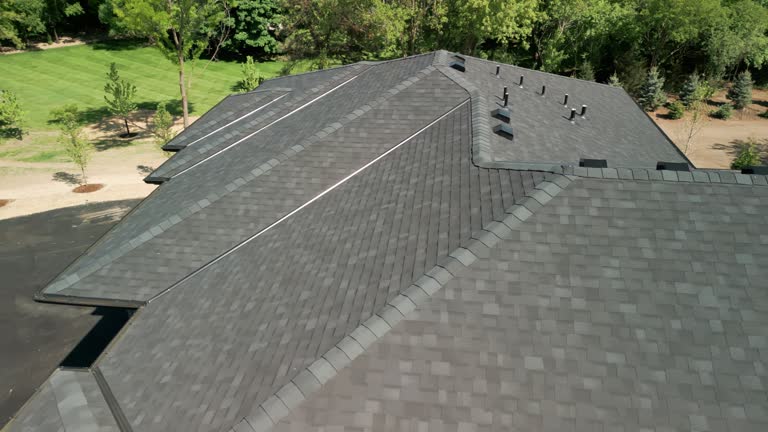  Stony Point, MI Roofing Pros