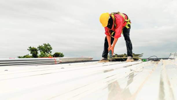 Best Roof Moss and Algae Removal  in Stony Point, MI