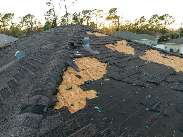 Fast & Reliable Emergency Roof Repairs in Stony Point, MI
